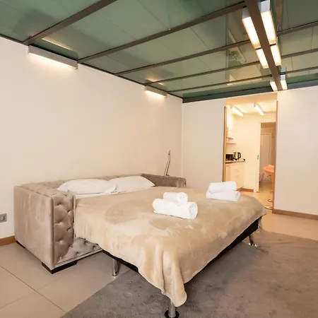 Апартаменты Modern Mansion