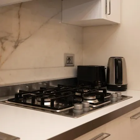 Apartamento Modern Mansion